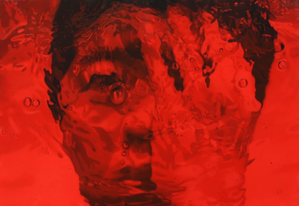 illusory oil on canvas 80.5x117cm 2015