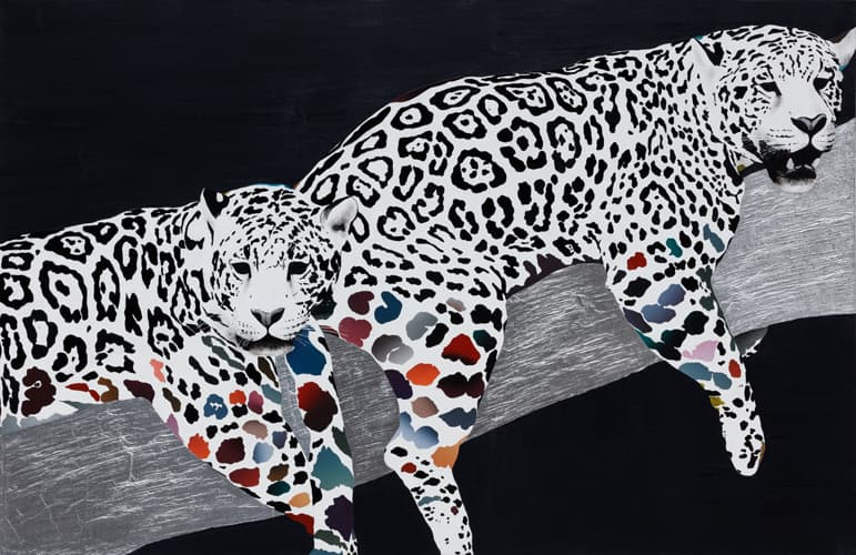 COLORING TO JAGUAR, 65x100cm, acrylic and collage on canvas, 2016