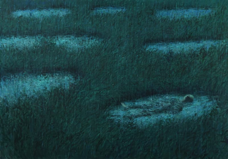 정석희, 늪, 영상 회화, 가변크기, 78개의 회화 이미지, 8분 18초, 2016