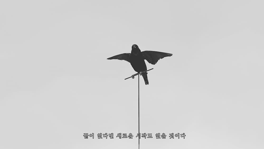 가능한 세계, 5분 5초, 비디오 도큐멘테이션, 2020