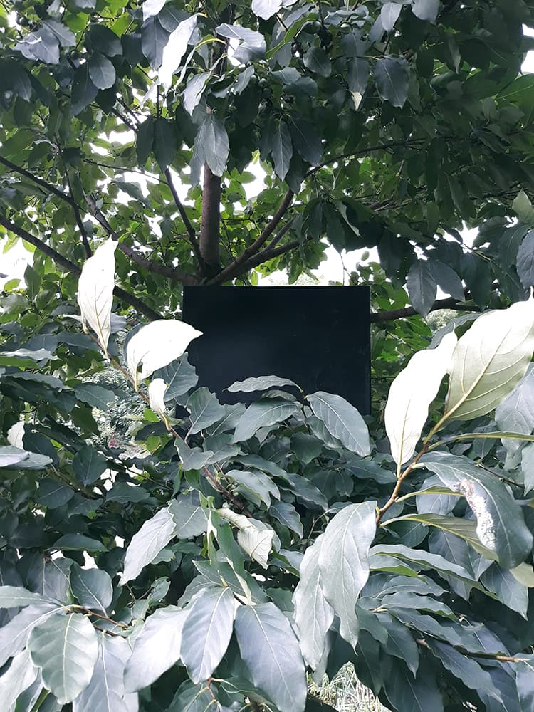 이재미 개인전 : Calls for a bush warbler 3