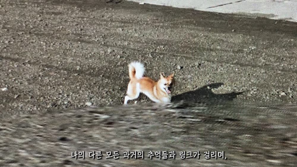 Seokmin Kong, Navigator, Single Channel video 27min, 2019