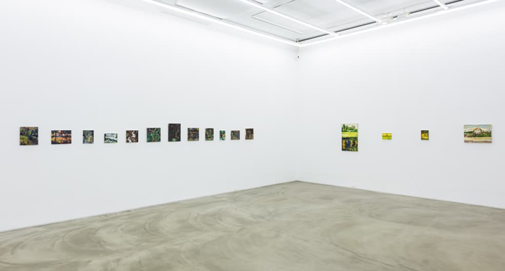 Hyein Lee, Installation view of The Logic of Sensation, Gallery Simon, 2017