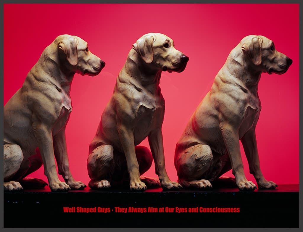 래브라도 리트리버 Labrador retriever, Light jet print, 120 x 158cm, 2009