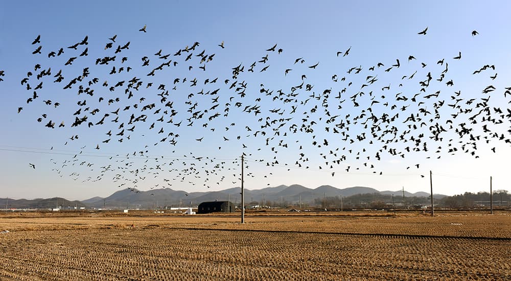 고정남_Suin Railroad#03_아카이벌 피그먼트 프린트_55x100cm_2019