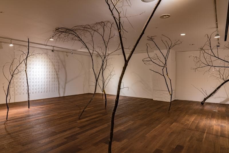 박은영, Untitle, variable installation, 나무, 실, 2018
