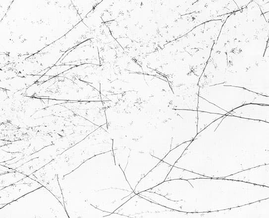 구본창, White 03, 1999, archival pigment print, 50x60cm