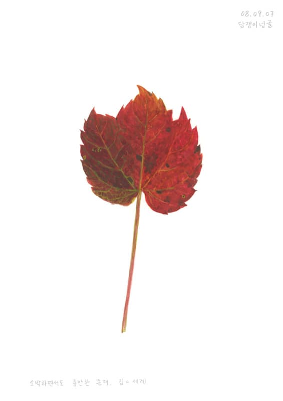 허윤희, 나뭇잎 일기(080907), 2008, gouachonpaper, 21x29.7cm © 허윤희