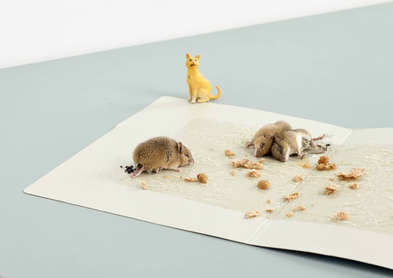 이지양, Tweedledum Tweedledee and the Vantage loaf, 2015, Archival pigment print, 116.44×155.67cm