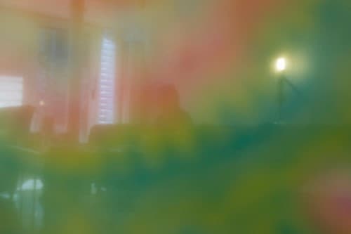 장유진, 봄 pigment print 25x16.9cm 2019