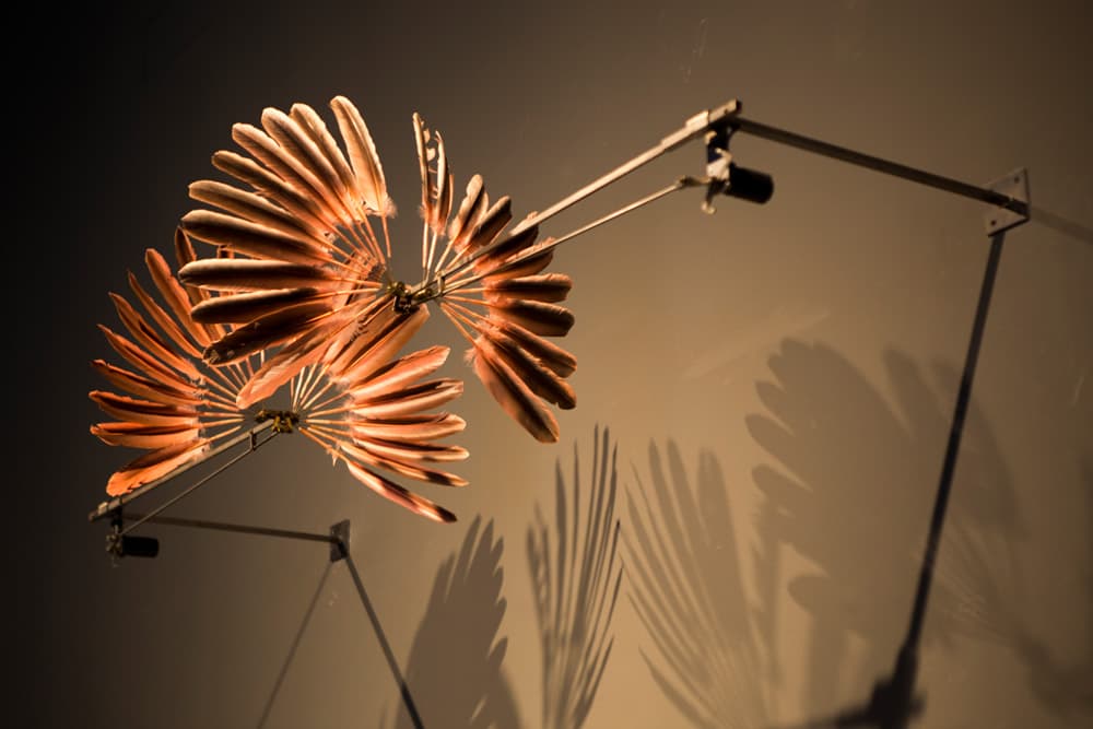레베카 혼(Rebecca Horn), 공기, 1994, 홍학깃털, 모터, 금속, 51 × 223 × 89 cm, 소장처: 삼성 미술관 리움 