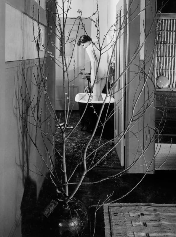 The Bath 2, 51x41cm, Platinum & Palladium Print, 1952, Ed. 5 of 50