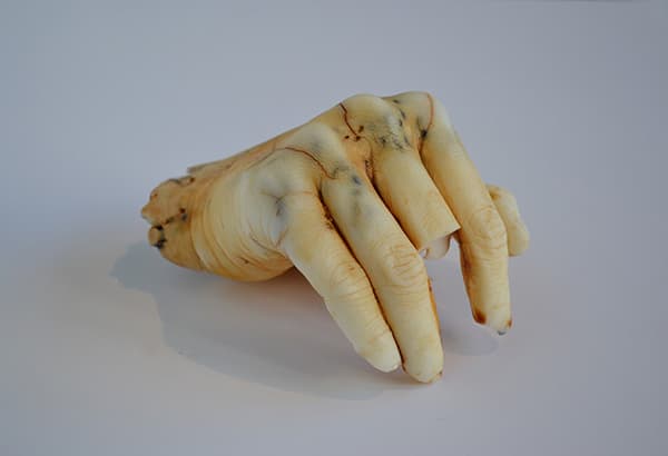 김소연, Island sugar , paraffin wax , cast bandage, 10*8(cm), 2017