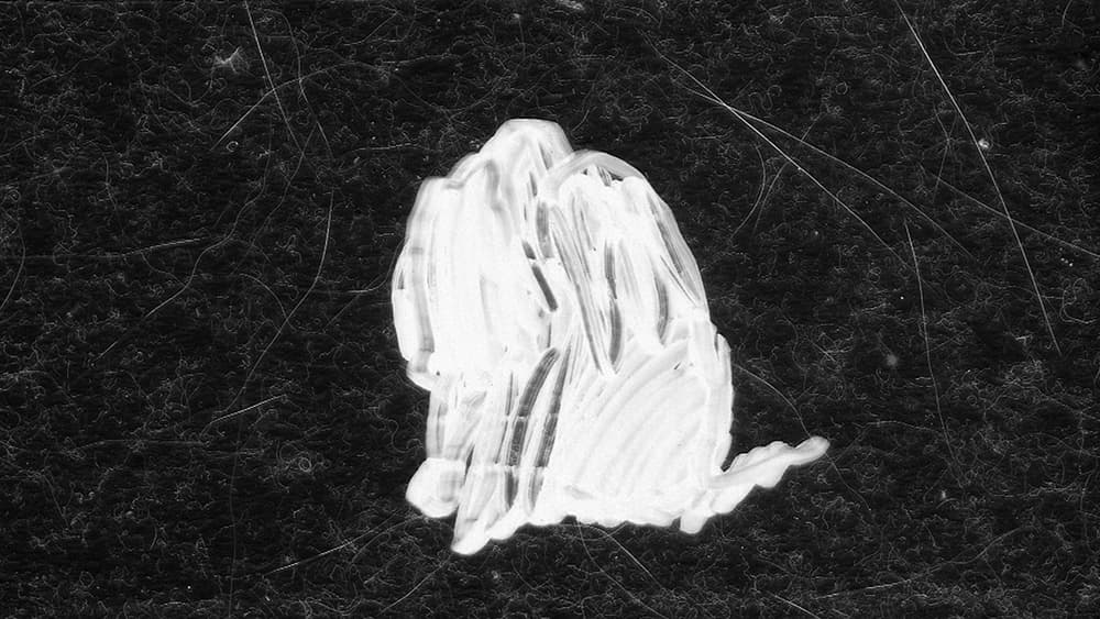 최윤석, Cat A_9초_반복재생_흑백, 단채널영상_2018
