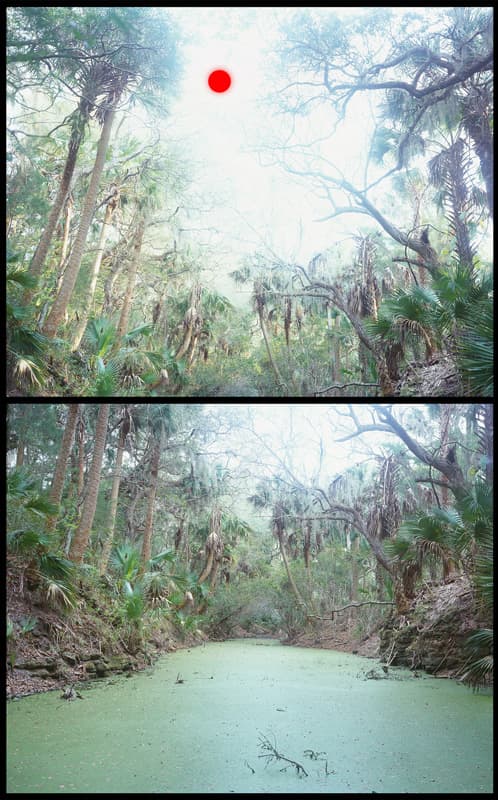ⓒ박진영 Area Park