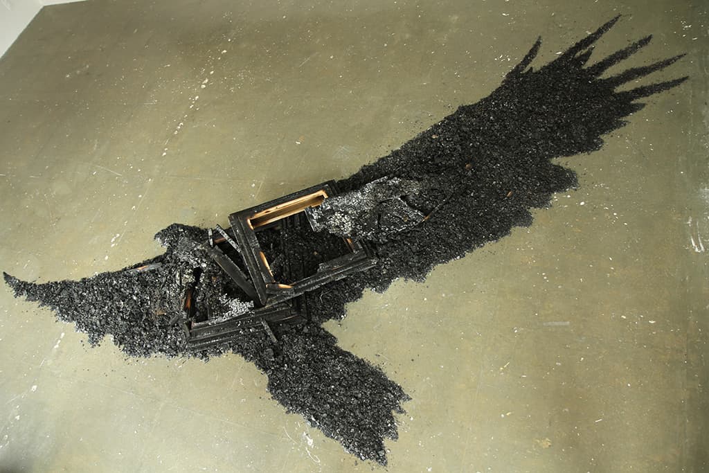 버드 세이버_자작나무 재_493x329cm_2016 bird saver_birch ash_493x329cm_2016