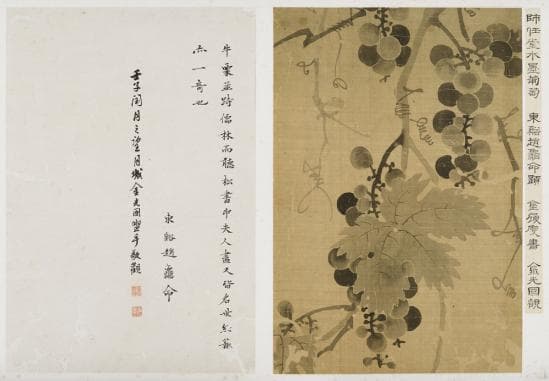 신씨, 포도(葡萄)_unknown Ink on Silk_31.5×21.7cm