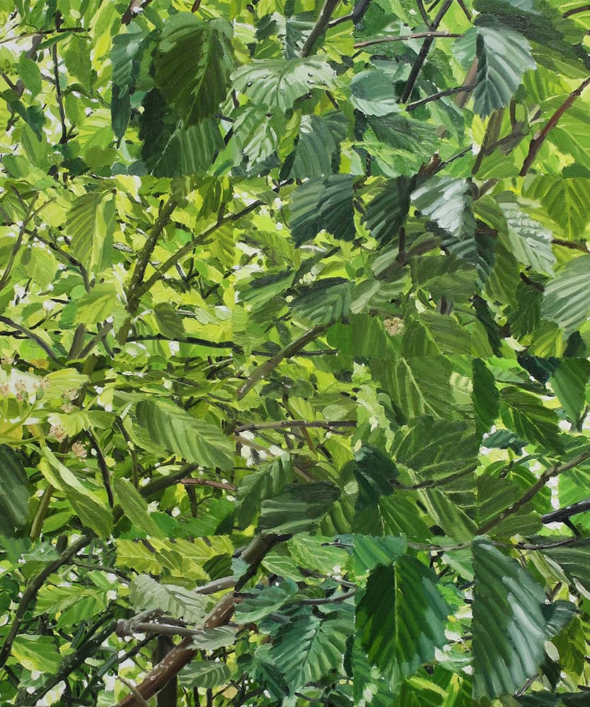 이미솔, 팥배나무, 2023. 캔버스에 유채, 72.7 x 60.6cm.