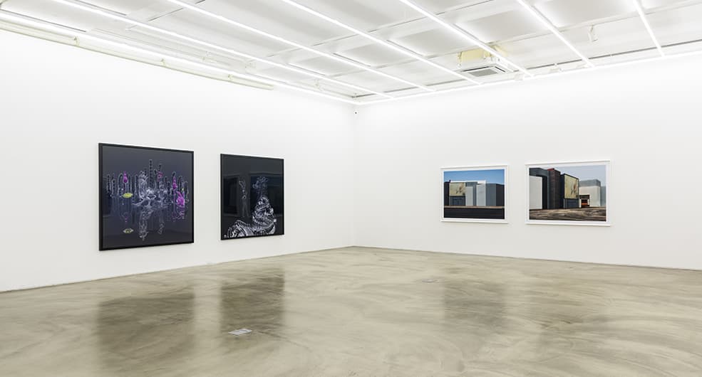 Installation view of Arrival, Gallery Simon, 2016