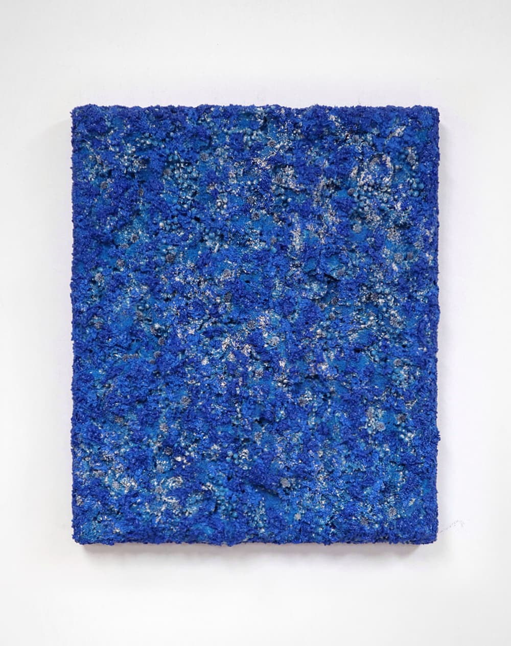 화석 속에 핀 파란꽃_53x45cm_복합매체_2020