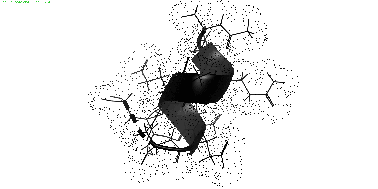 W&D molecular structure-mesh
