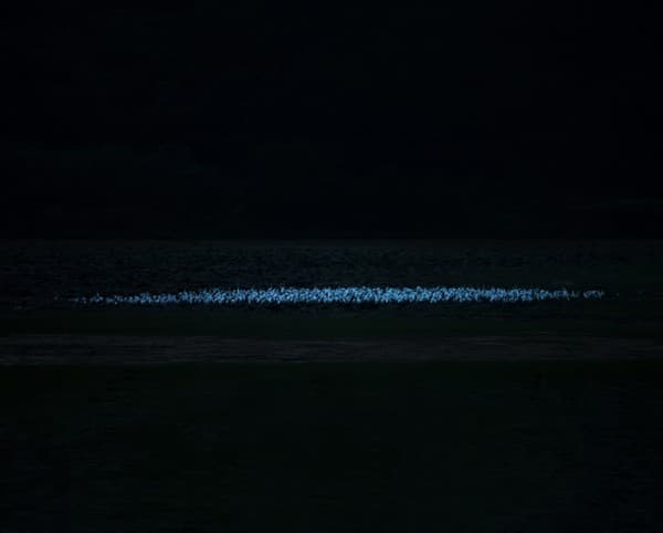 (c)정봉채