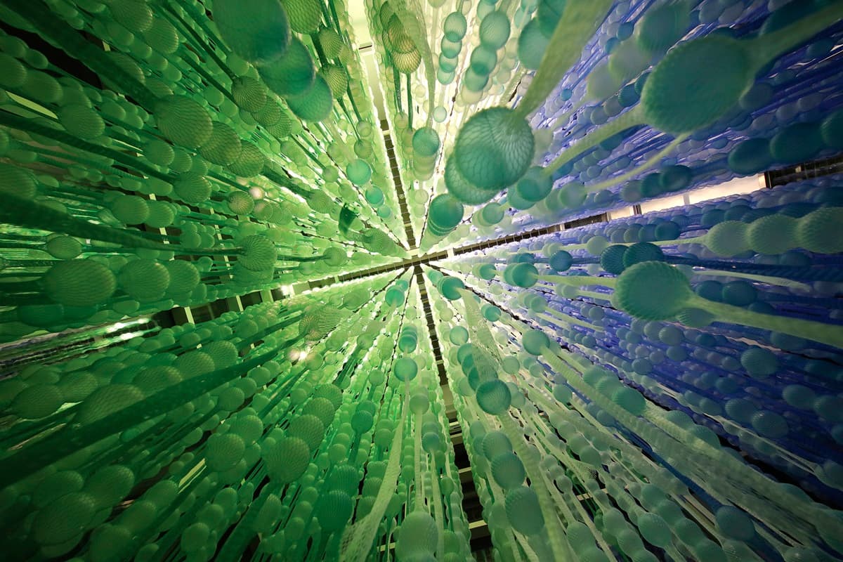 강을 건너는 방법_철제망, PE망, 플라스틱공, 스틸고리_400x400x500cm_2020