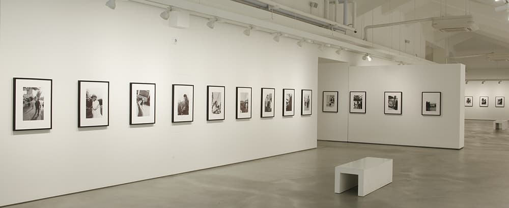 부산 참견錄 부산을 사수하라 : 강용석 YongSuk Kang : Busan Observation - Protecting Busan 3