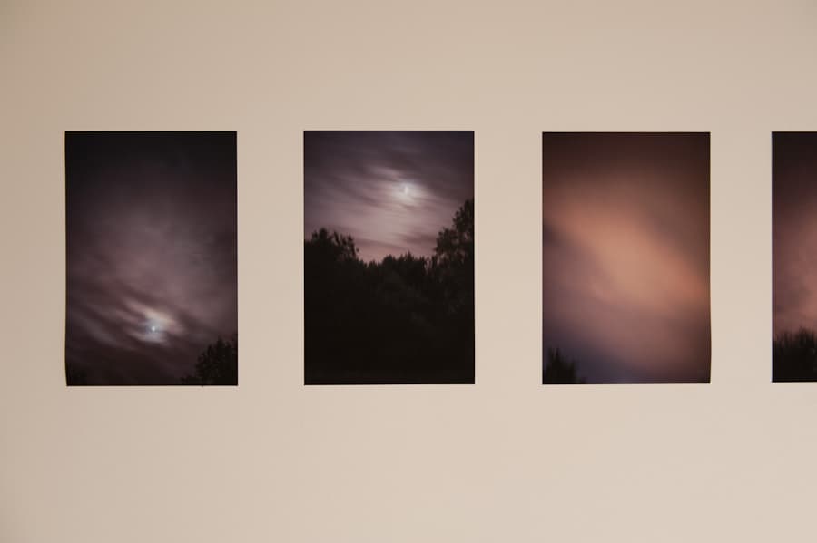 from Moonlight, for Rosemary series, 2011 ©Barbara Bosworth