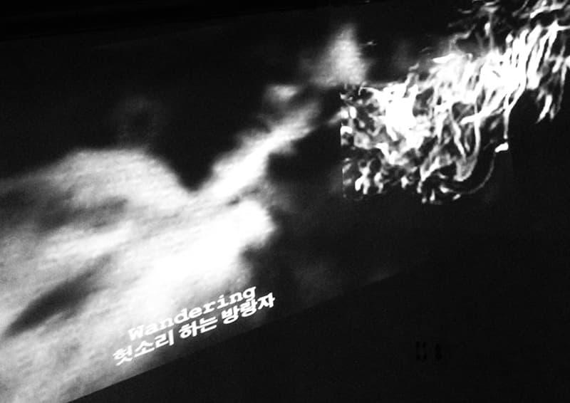 조현아, <더 송스 오브 파인 그라블 & 더 피싱 매치>, 2016, 14 ’55’’, black and colour, sound, dimensions variable