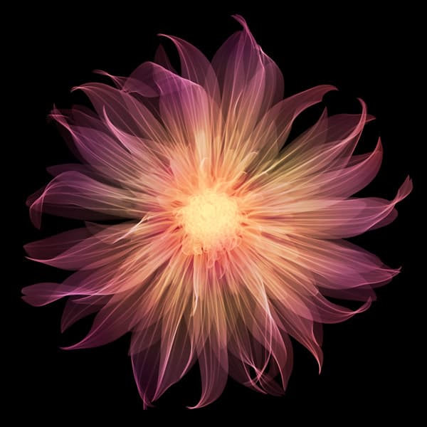 ⓒ Nick Veasey