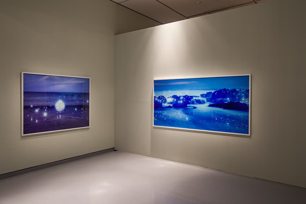 이정록_nabi 02 120x160cm dIgital C print 2015 / nabi 26 110x220cm dIgital C print 2015