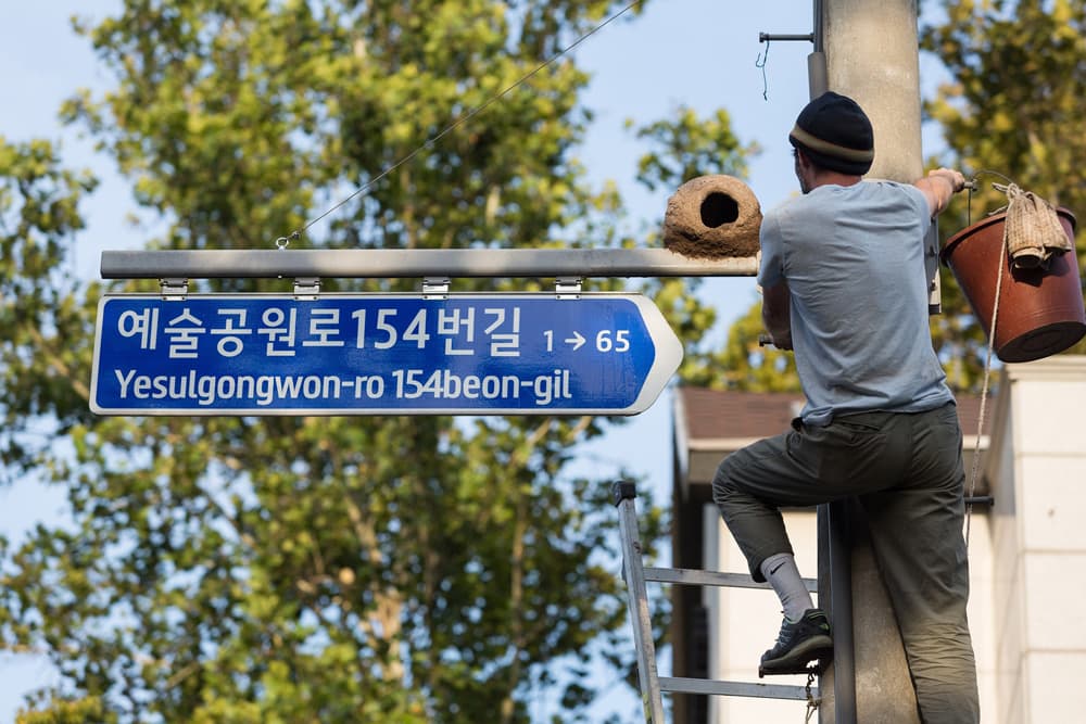 아트리안 비샤르 로하스의 조형 작품_새둥지 프로젝트