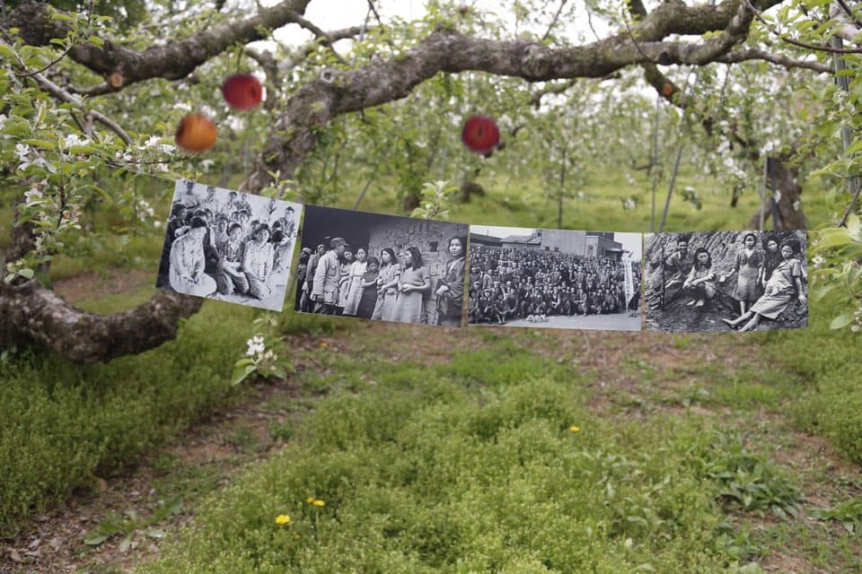 A special ritual for apple flowers, yesan. Korea @ Shin HyunRim.Inkjet print. 2019