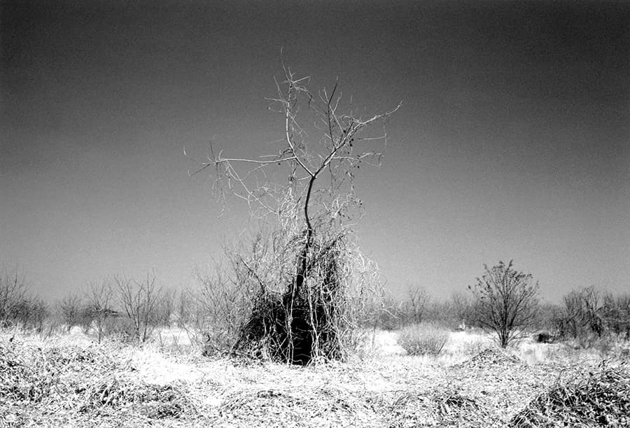 안우동, #46-2_30x40cm_gelatin silver print_2019