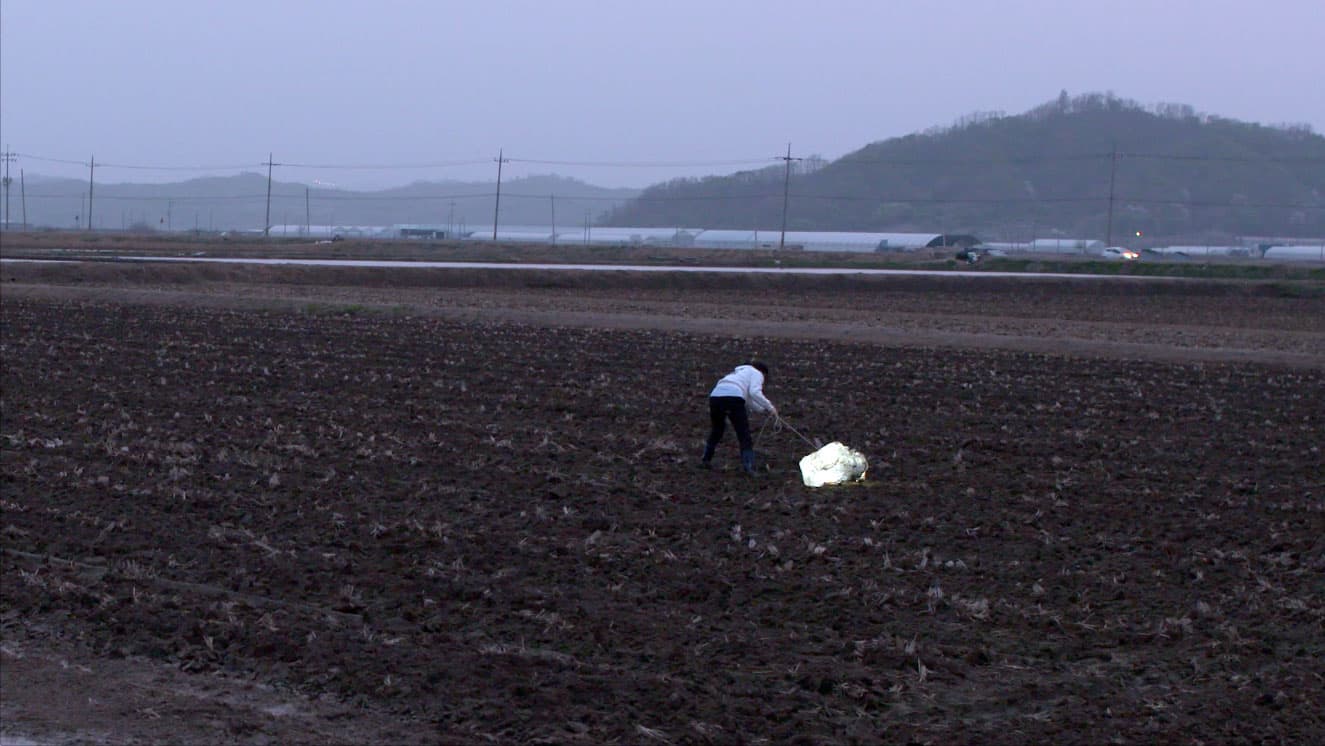 정소영, <돌> Soyoung Chung, Stone, 2016, One-channel video, 8 min. 37 sec.