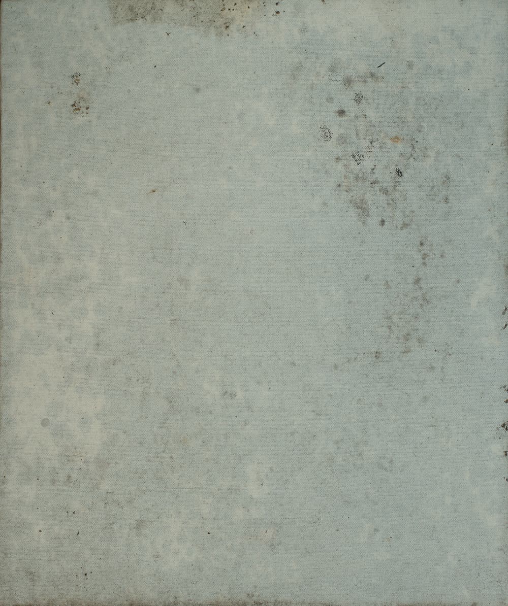 Untitled #2_46x38cm_forest on canvas_2018