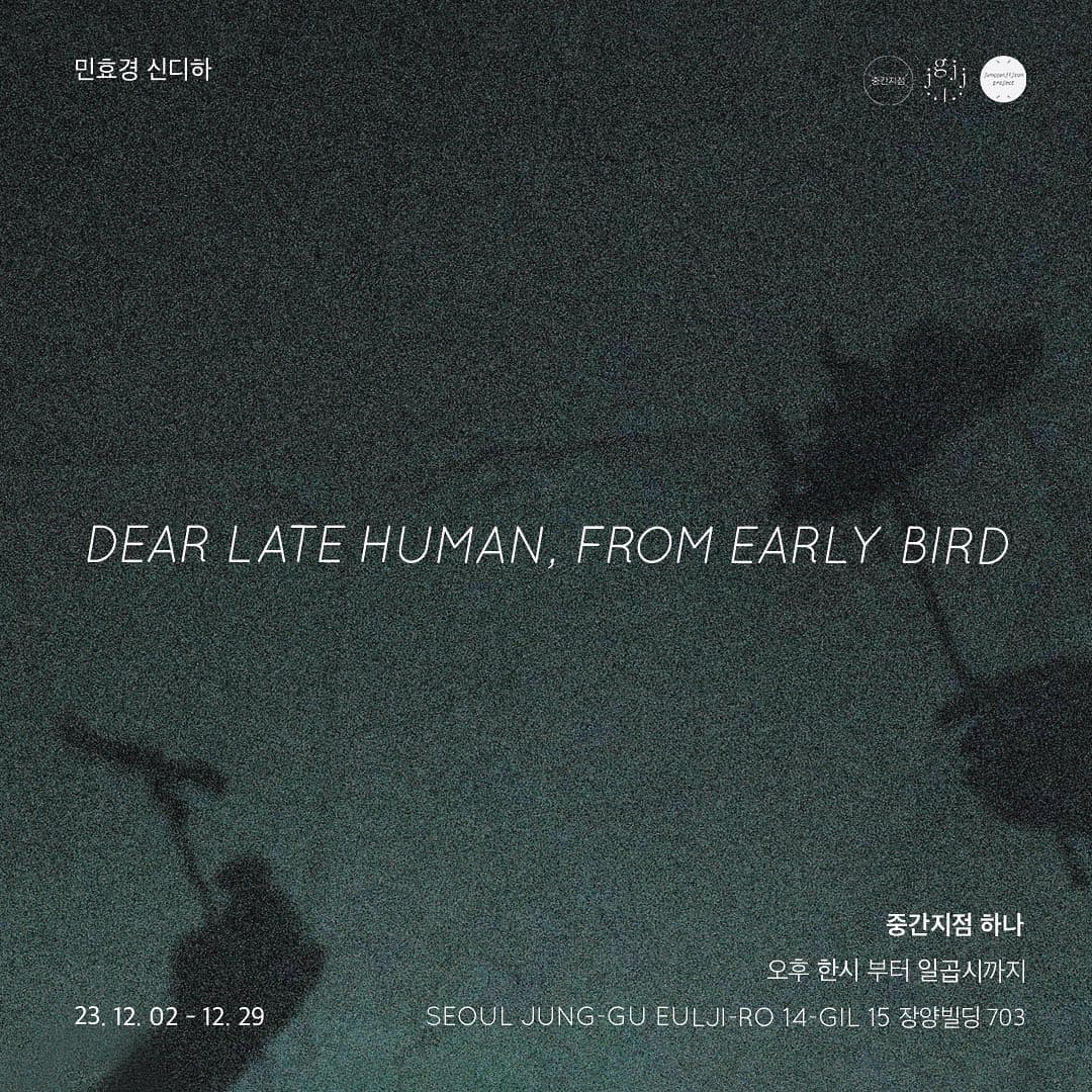 Dear Late Human, From Early Bird 1
