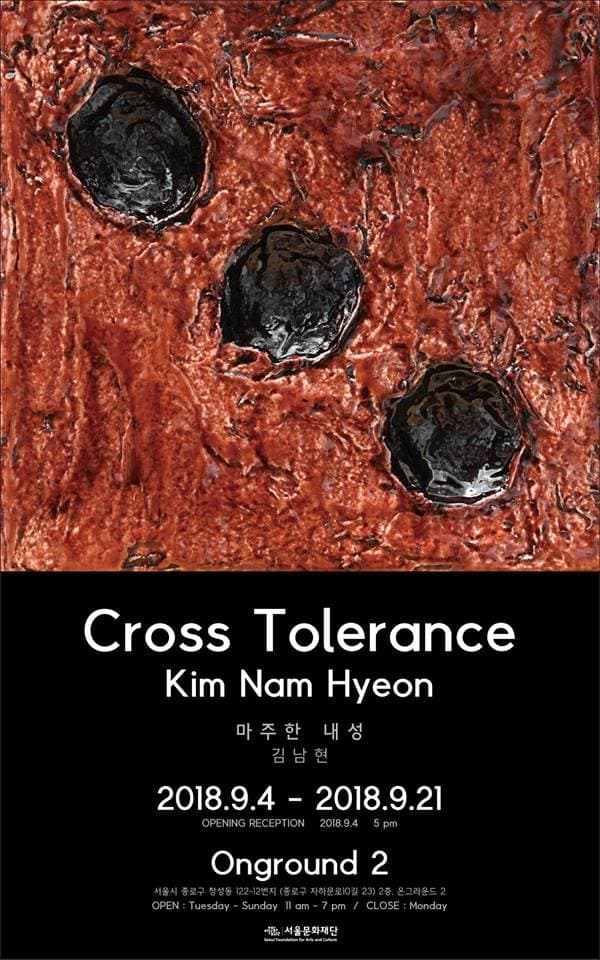 김남현 개인전 : 마주한 내성 Kim Nam Hyeon : Cross Tolerance 1