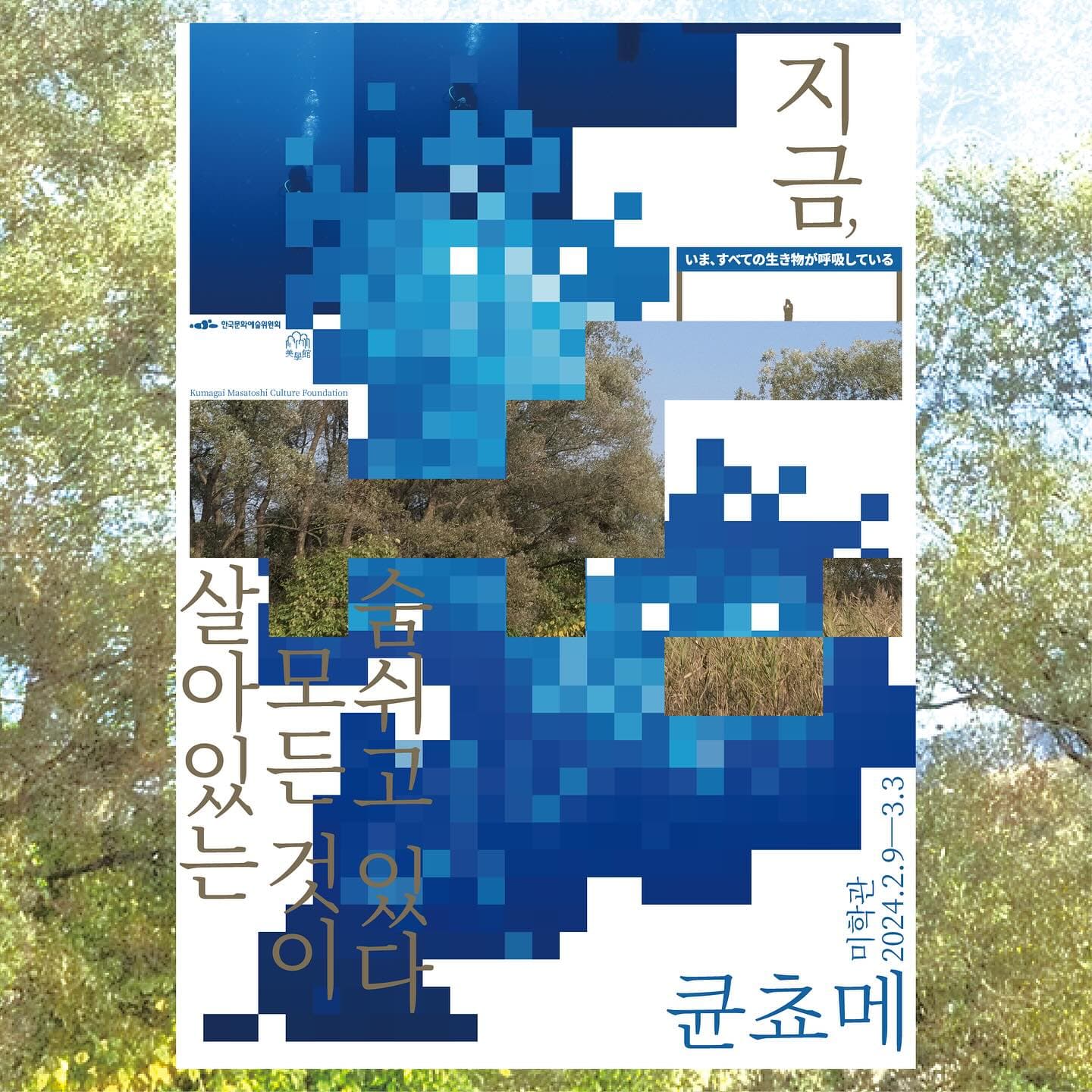큔쵸메: 지금, 살아있는 모든 것이 숨쉬고 있다 キュンチョメ: いま、すべての生き物が呼吸している 1