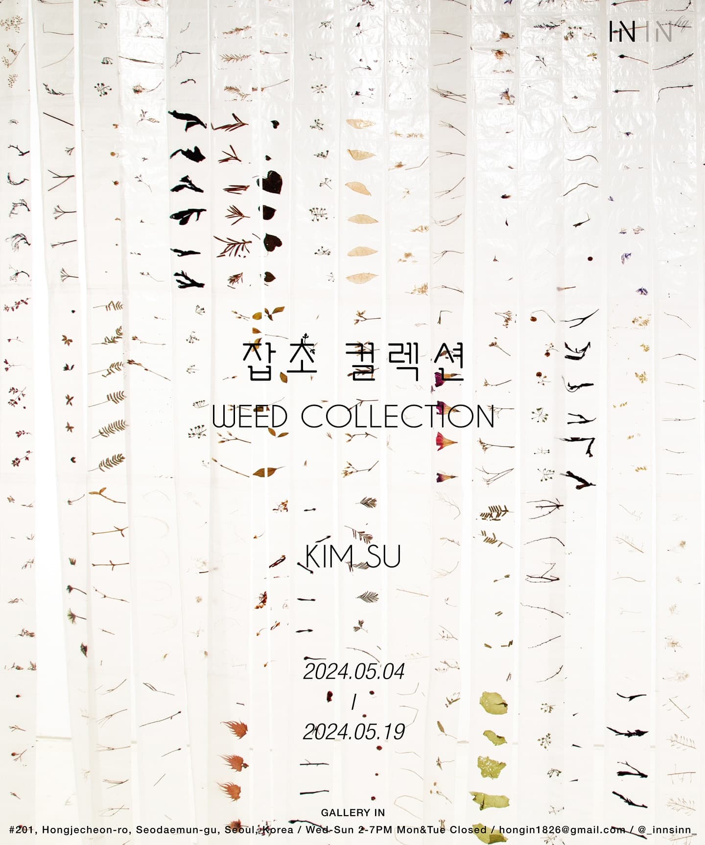 김수 개인전: 잡초컬렉션 WEED COLLECTION 1