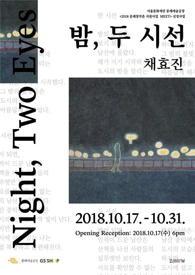 채효진 개인전 : 밤, 두 시선 1