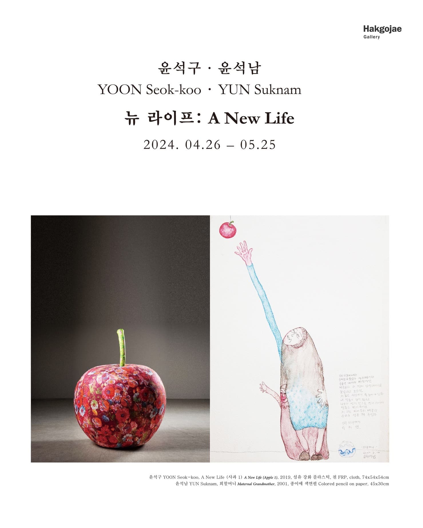 윤석구 윤석남 2인전: 뉴 라이프 1