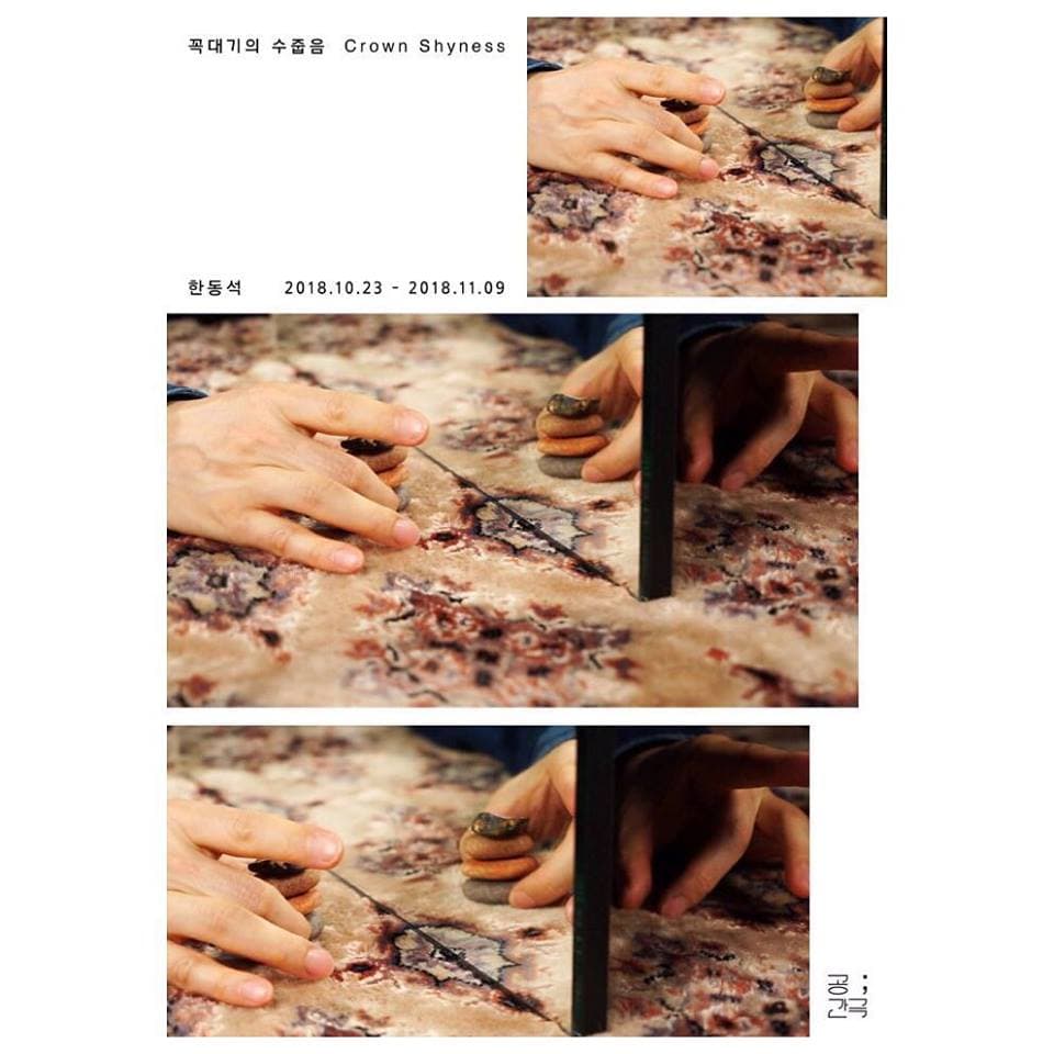 한동석 : 꼭대기의 수줍음 Crown Shyness 1