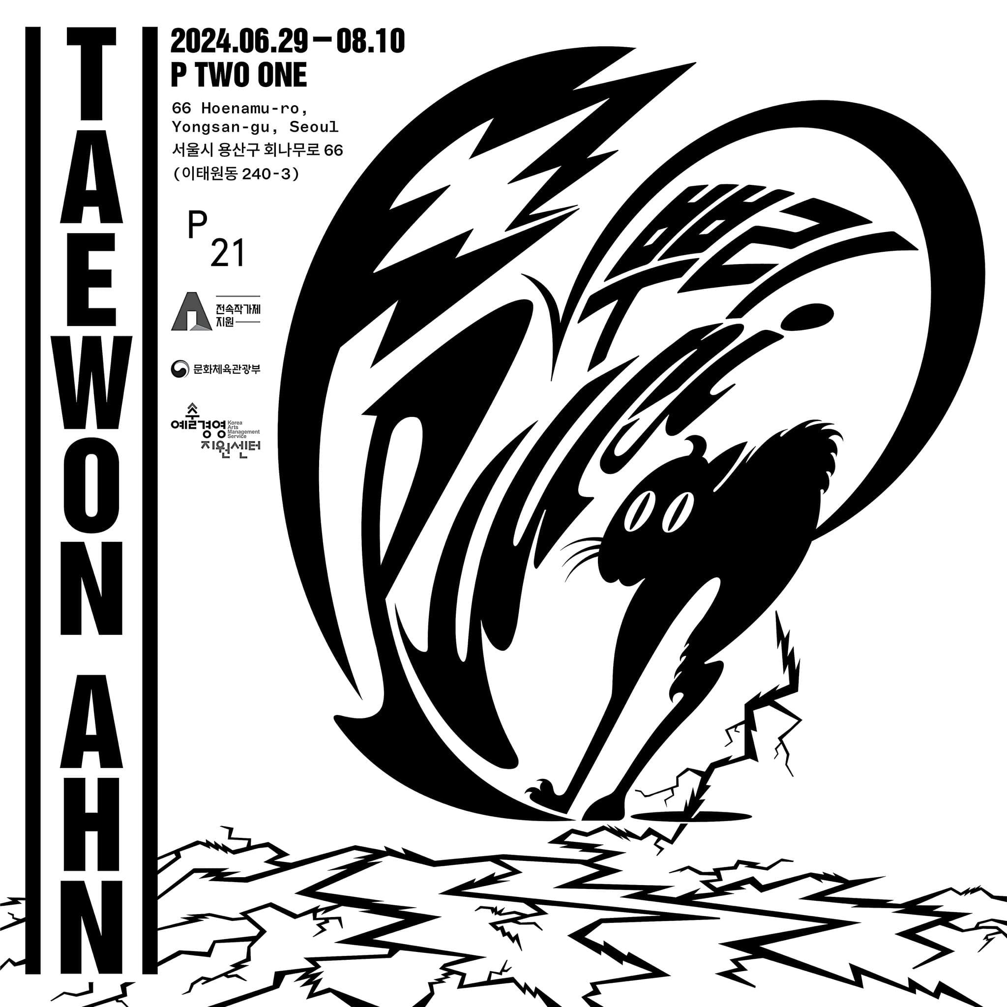 안태원 개인전: 뿌리 Taewon Ahn: ppuri 1