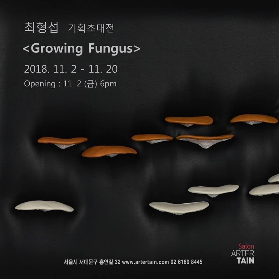 최형섭 : Growing Fungus 1