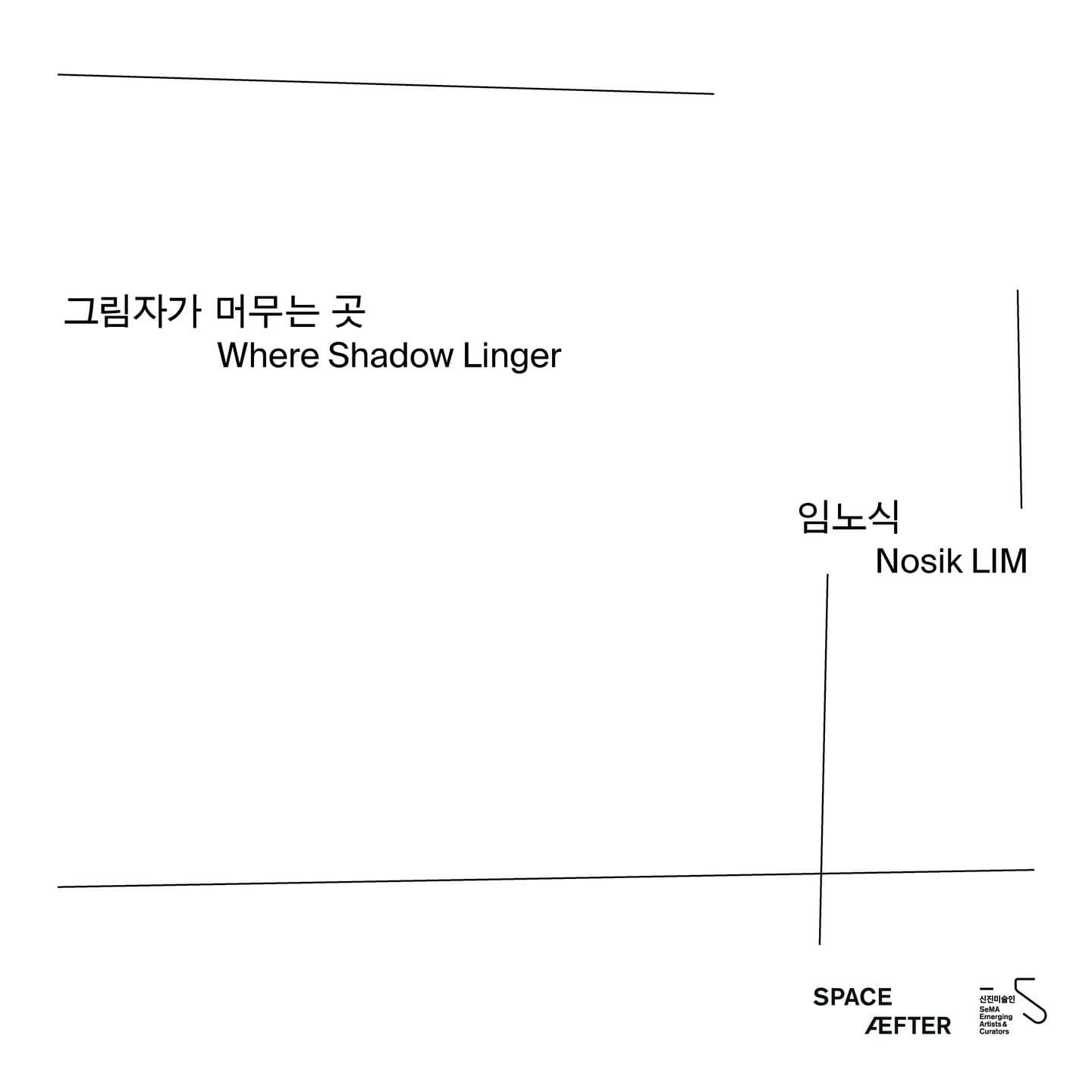 임노식 개인전: 그림자가 머무는 곳 Nosik LIM: Where Shadows Linger 1