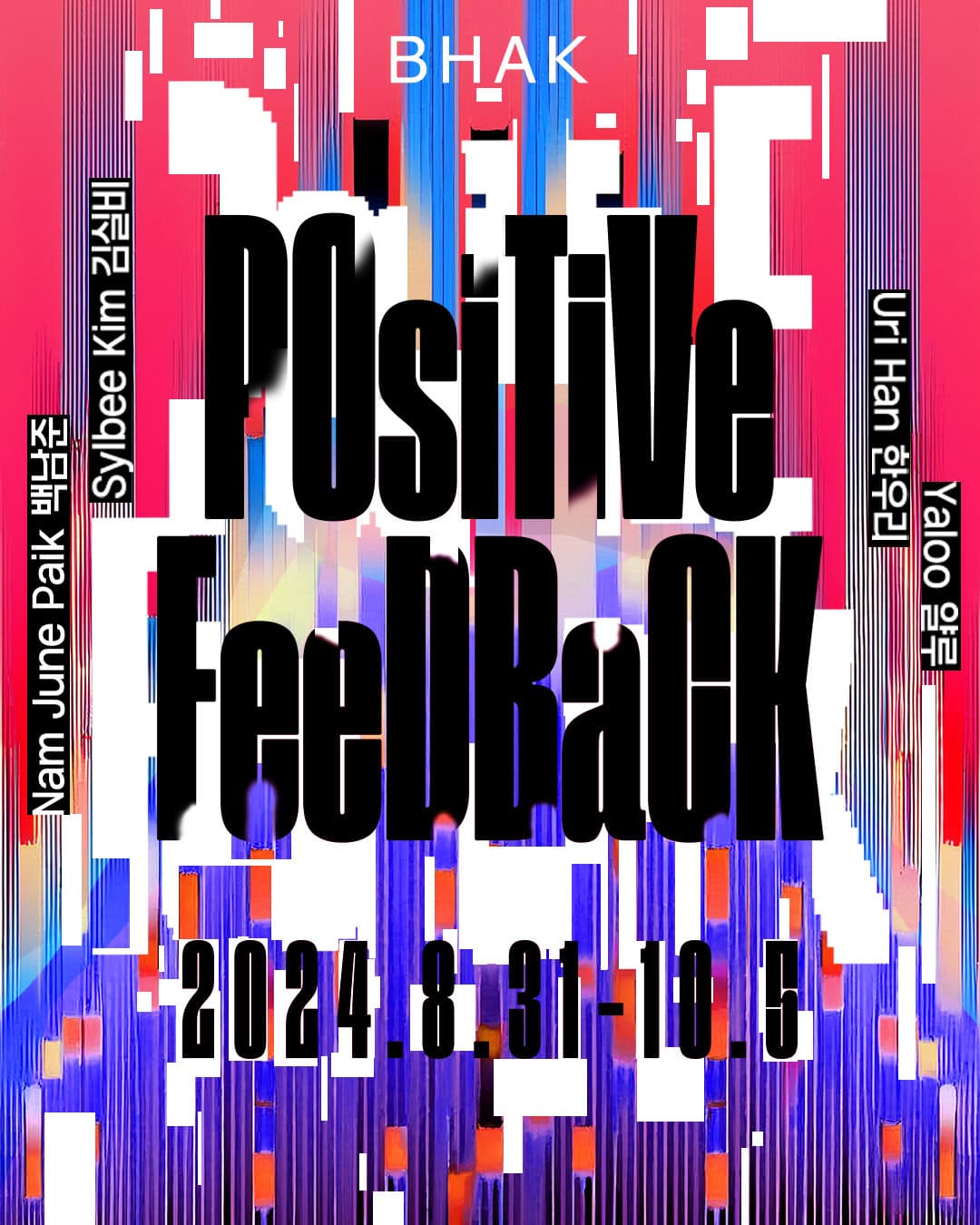 백남준, 김실비, 얄루, 한우리: Positive Feedback 1