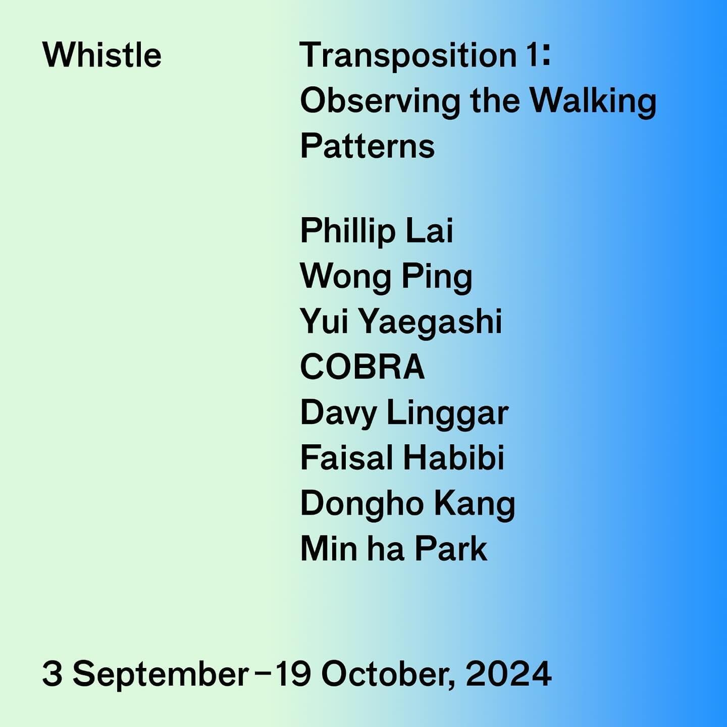 Transposition 1: Observing the Walking Patterns 1