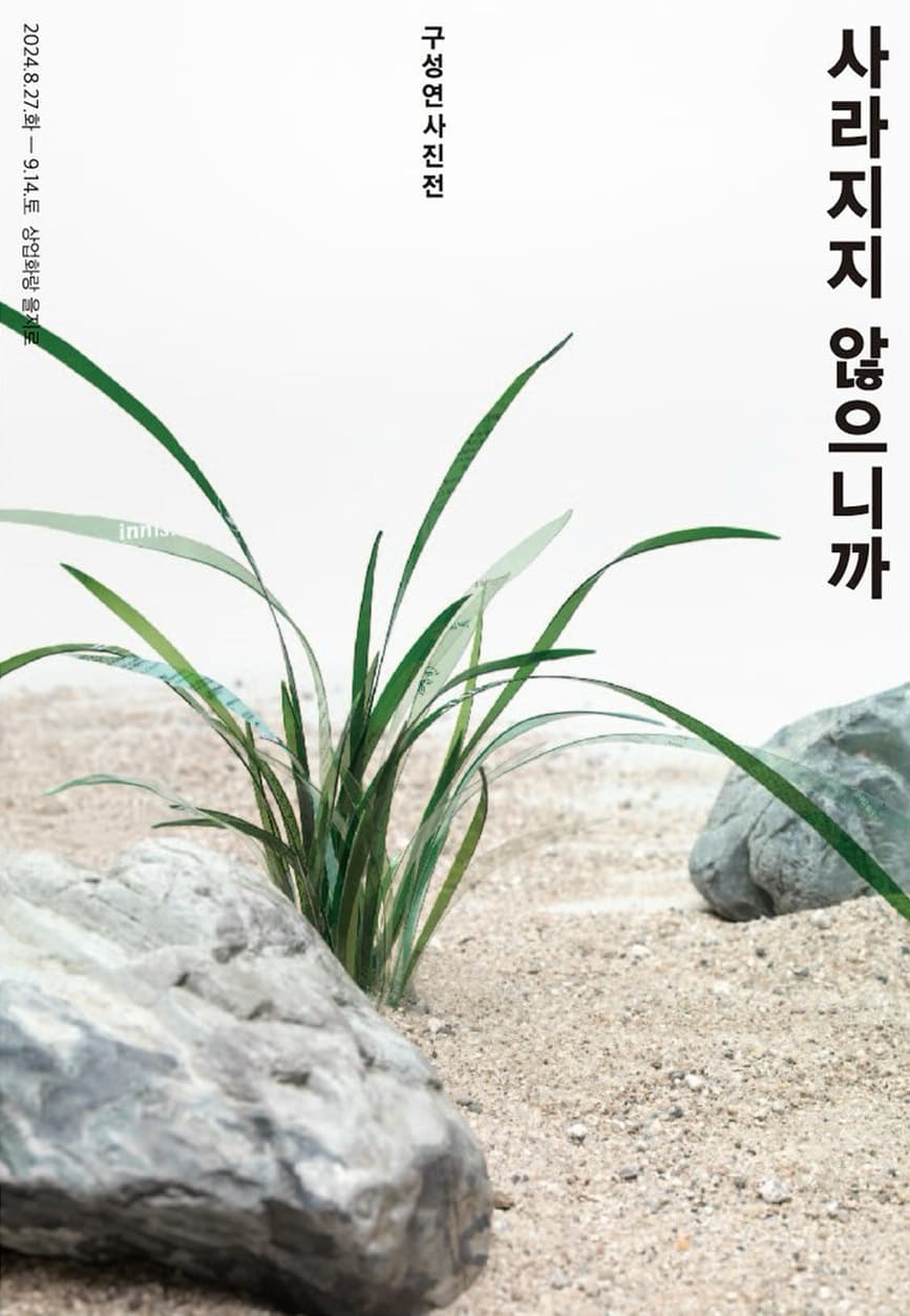 구성연 개인전: 사라지지 않으니까 1